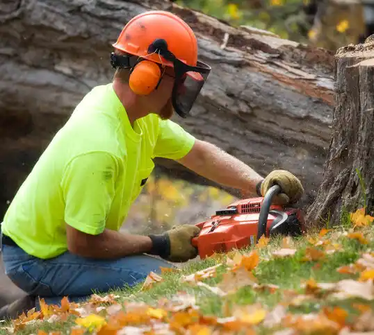 tree services Ashville